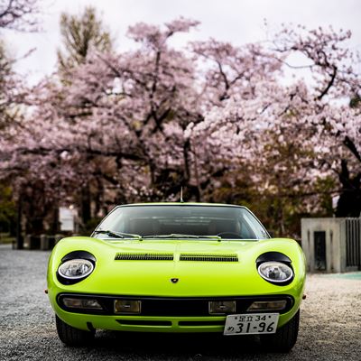 Miura SV(1972), Best Lamborghini,  Concorso d'Eleganza Kyoto 2019 - Credit Remi Dargegen - Automobili Lamborghini-1183