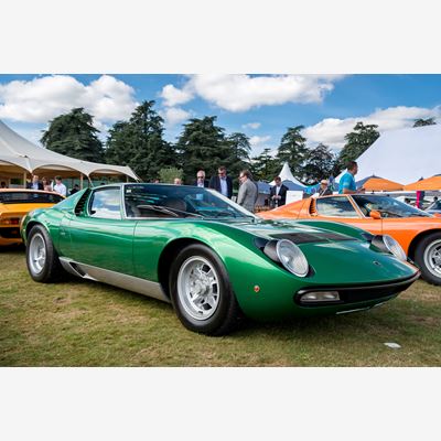 m sv s p 