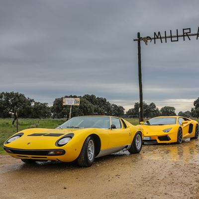 Miura legacy tour