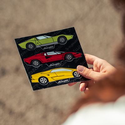 Lamborghini Arena Polo storico