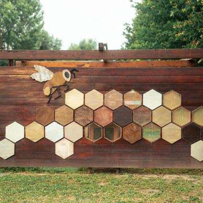 Biomonitoring Project with bees