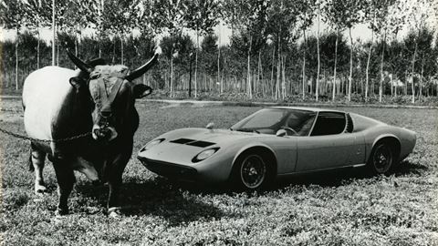 Lamborghini Miura