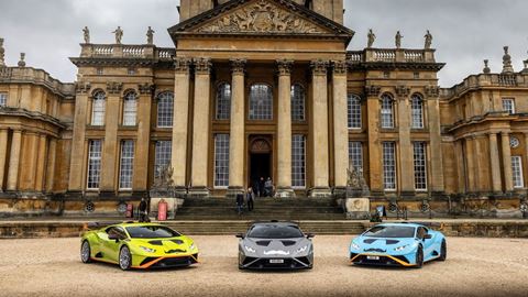 Lamborghini and Movember
